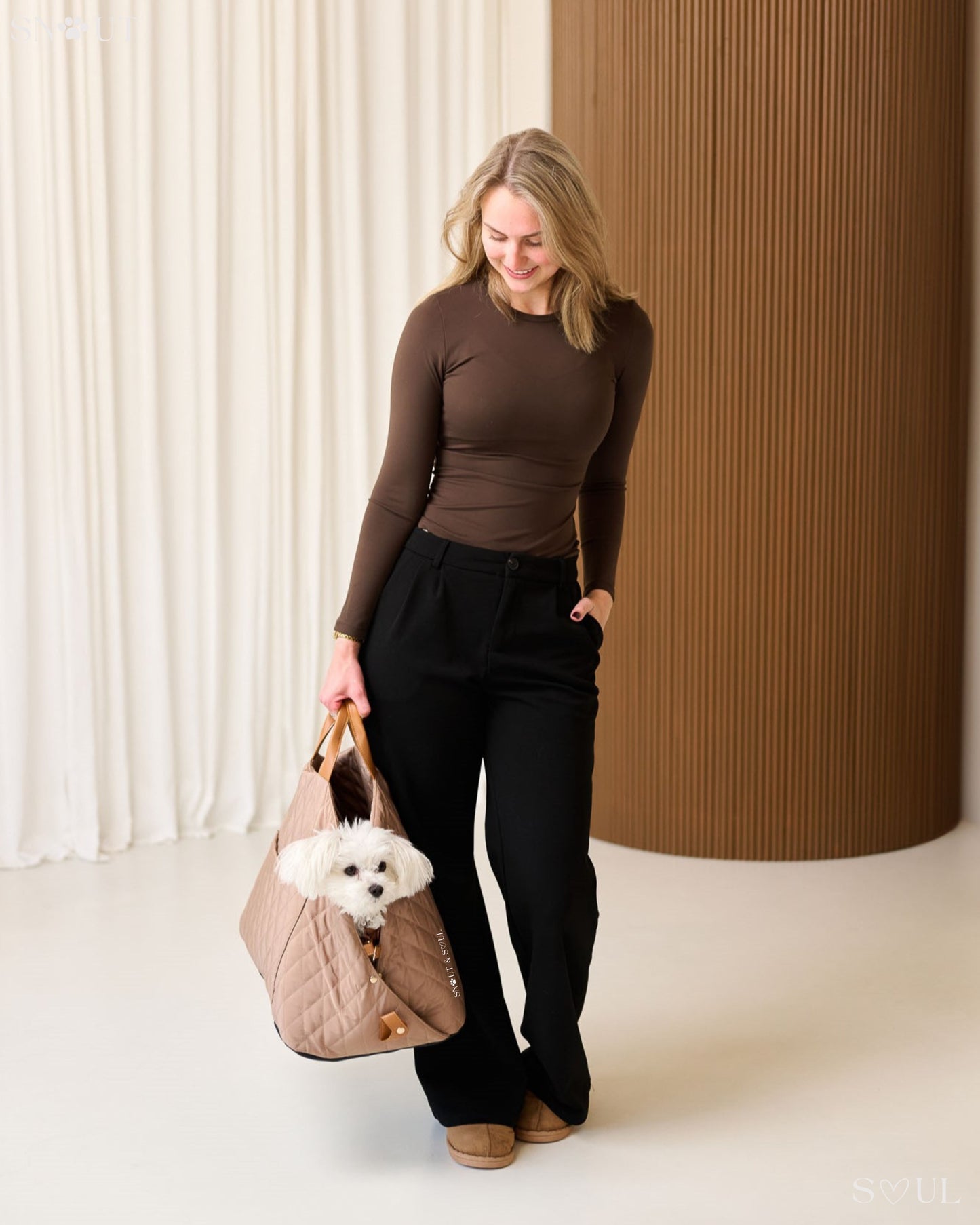 2-in-1 hondendraagtas voor kleine honden