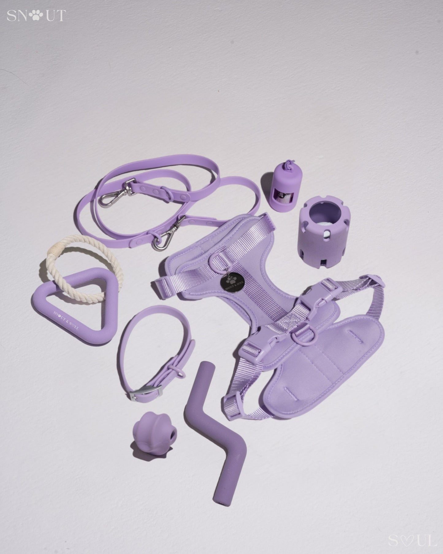 Harnas Walk & Play Set