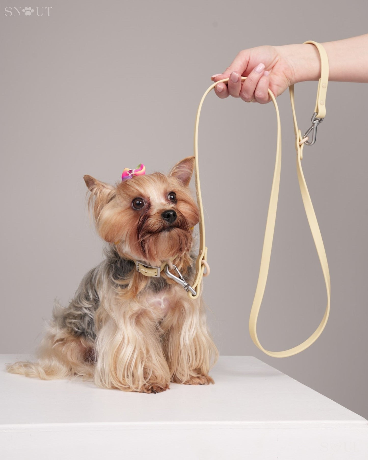 Halsband Walk Set