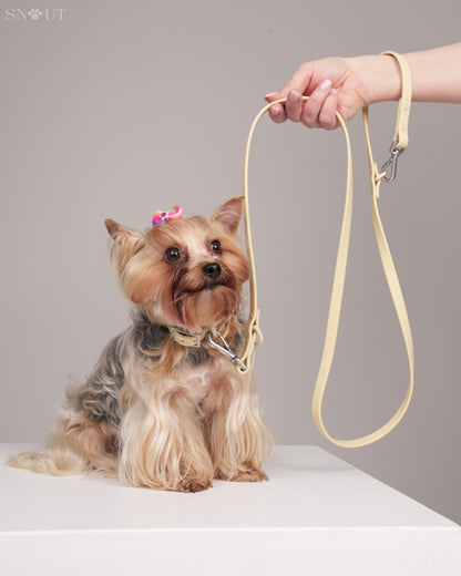 Halsband Walk Set