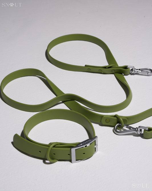 Halsband Walk Set