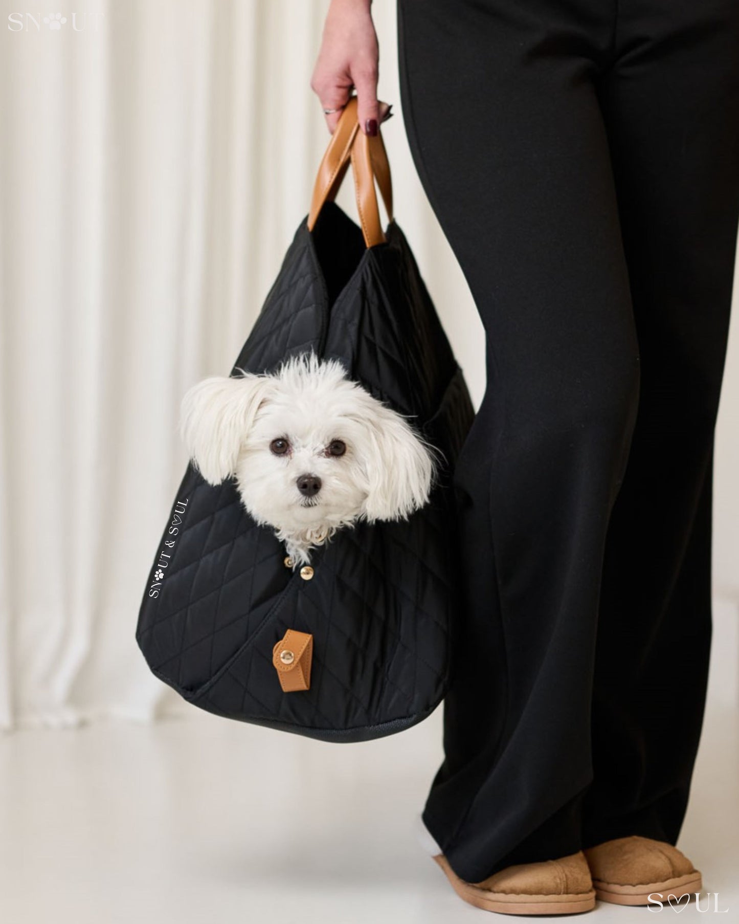 2-in-1 hondendraagtas voor kleine honden