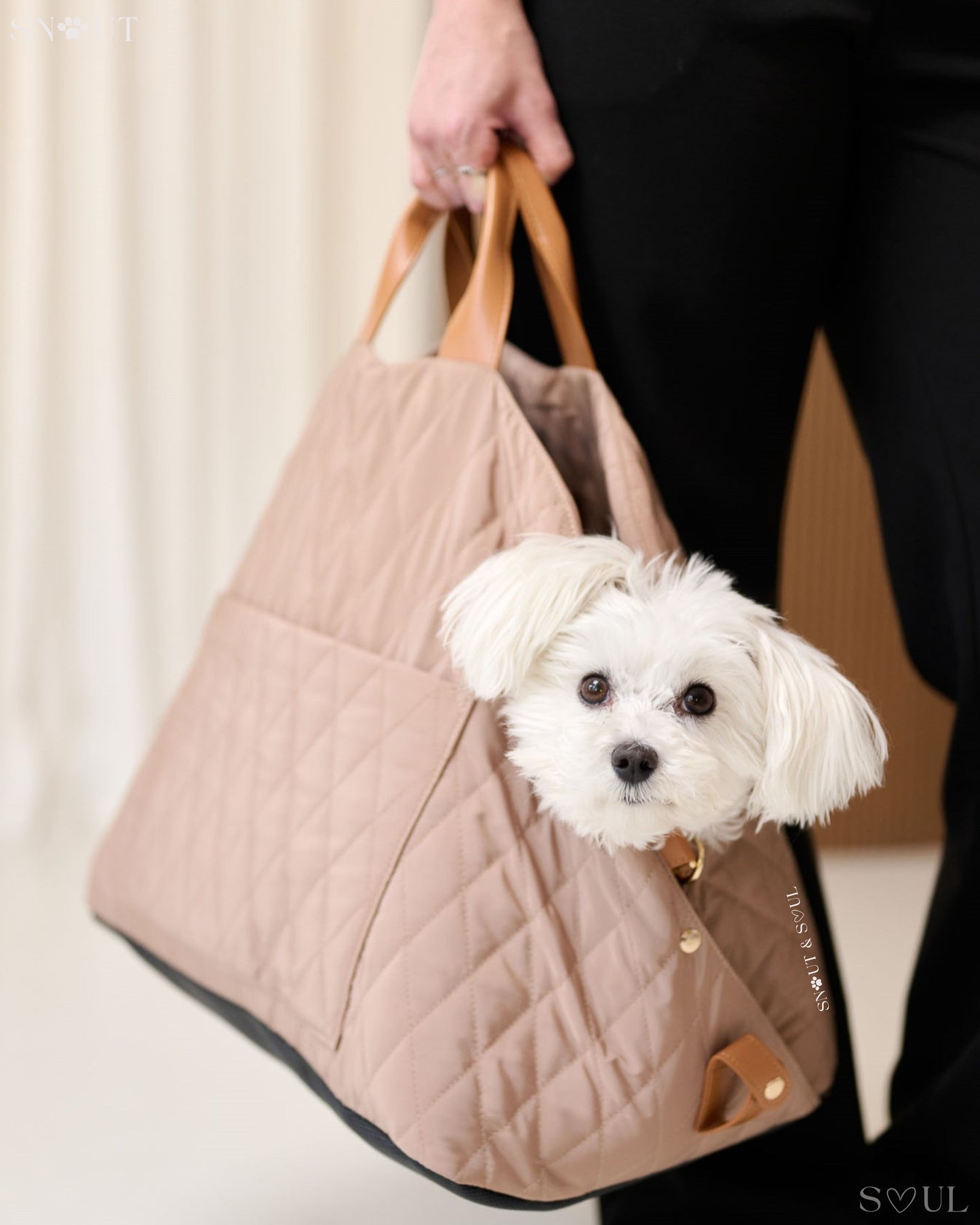 2-in-1 hondendraagtas voor kleine honden