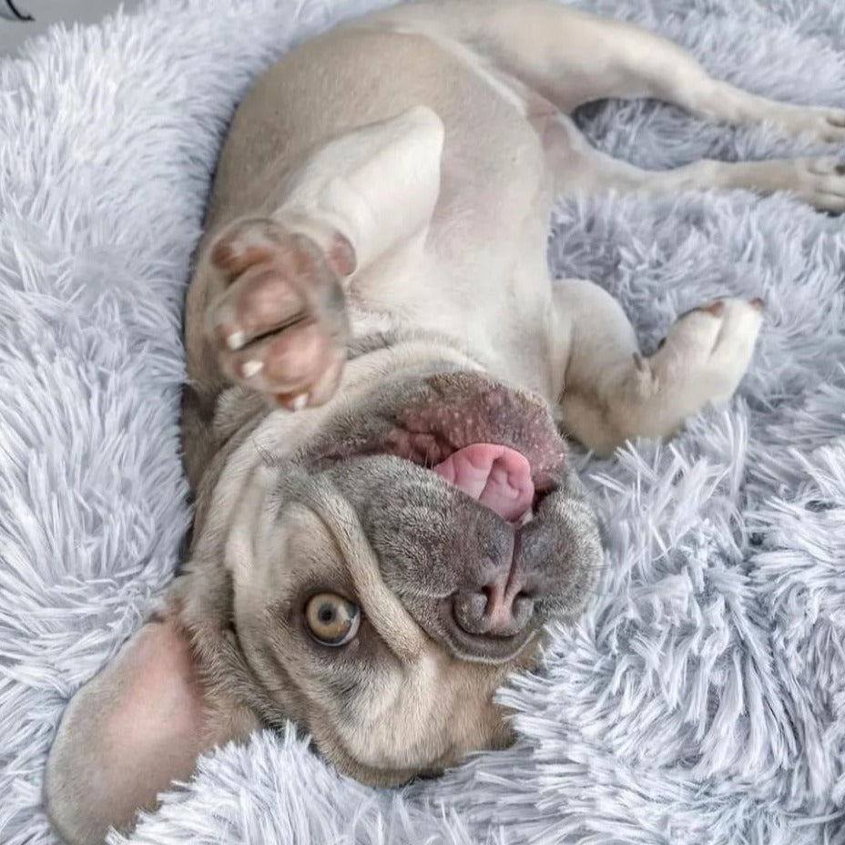 Kalmerende Pluizige Ronde Hondenbed