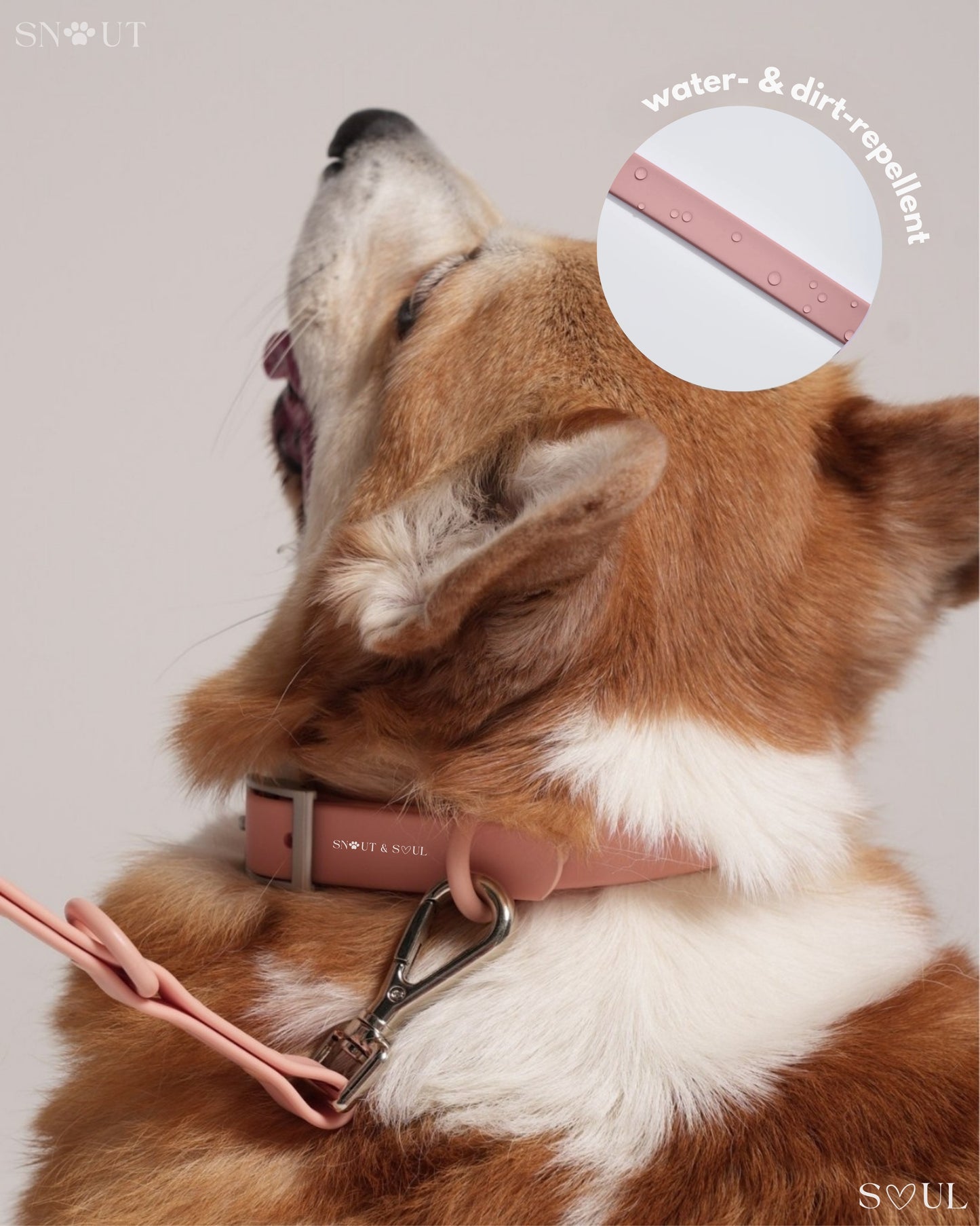 Halsband