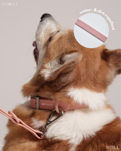 Halsband