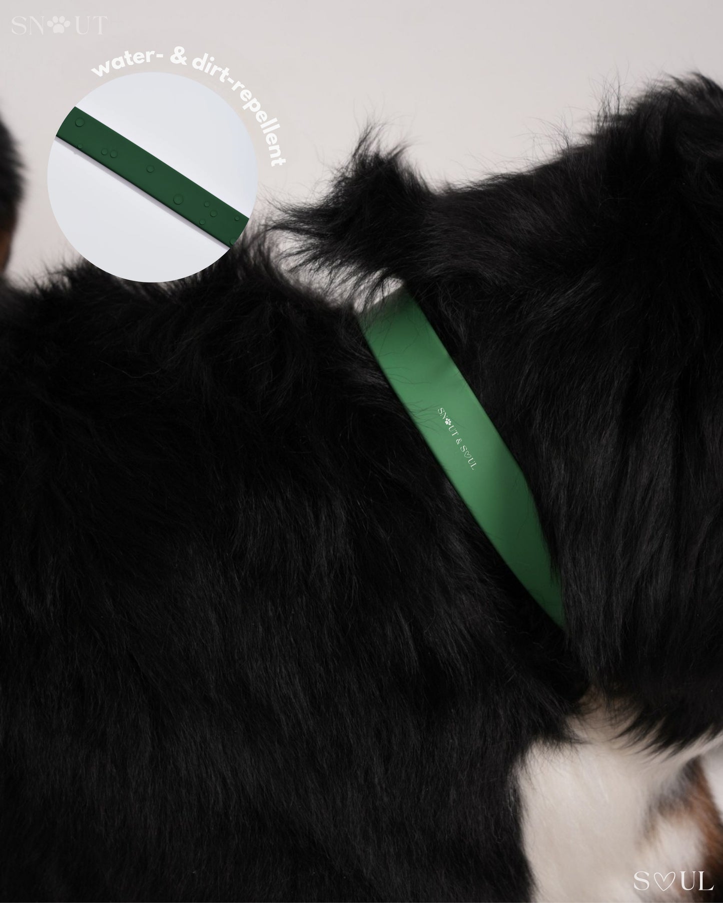 Halsband