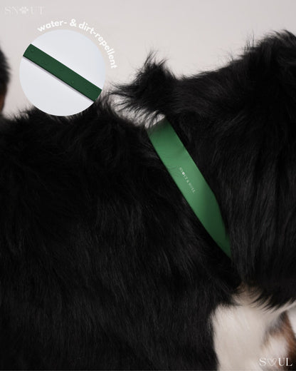 Halsband