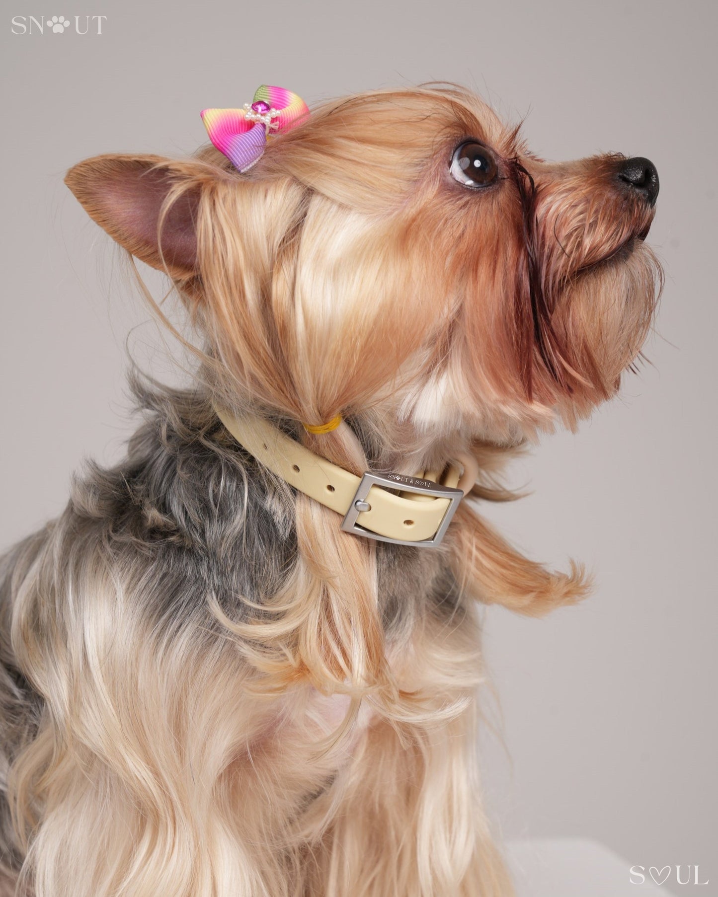 Halsband