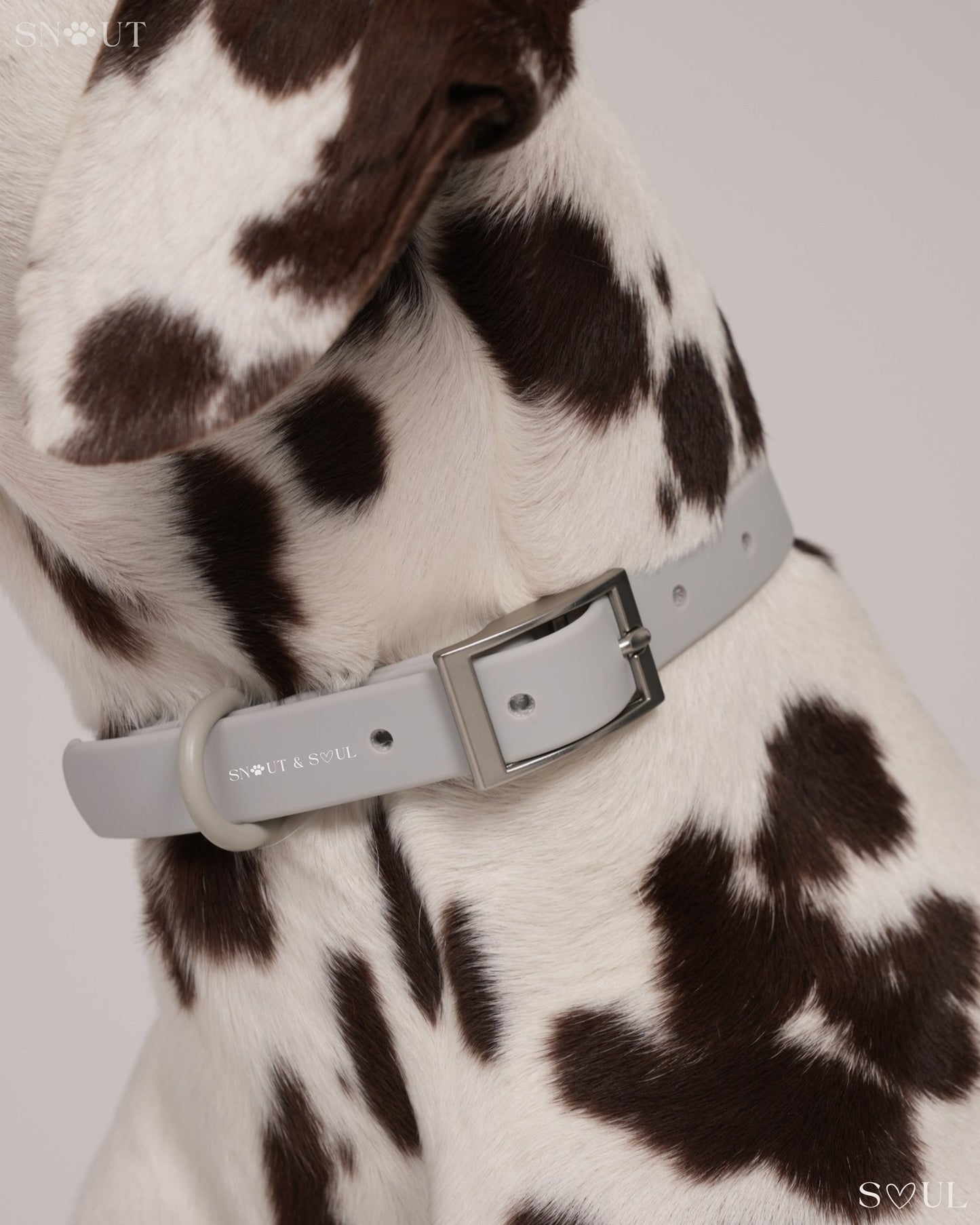Halsband