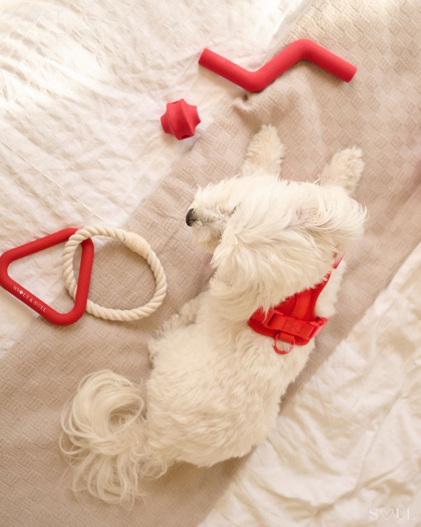 Play Set 
