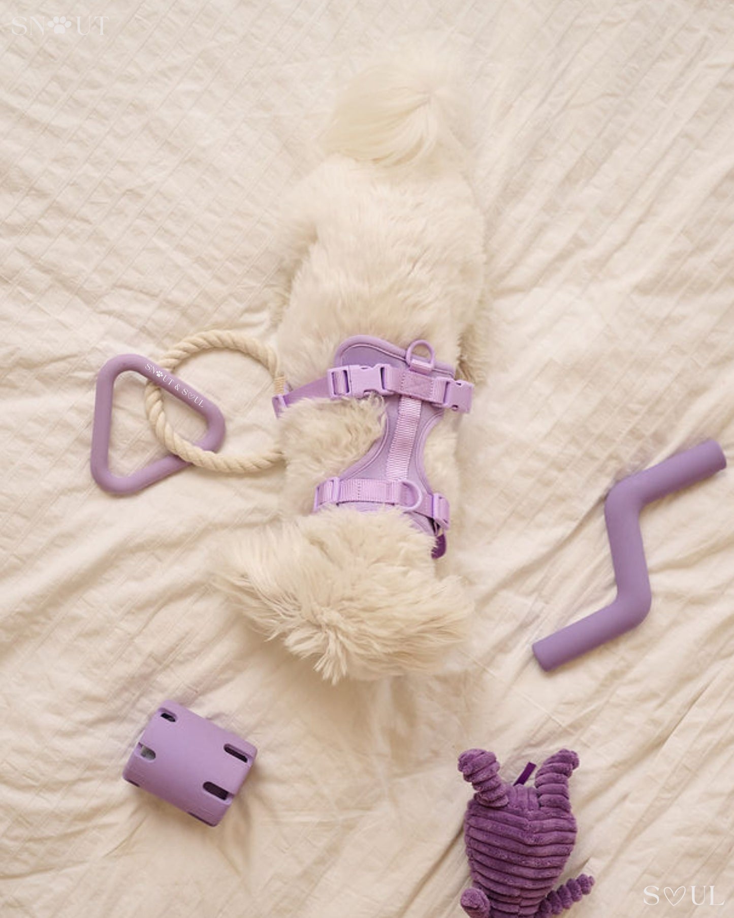 Play Set 
