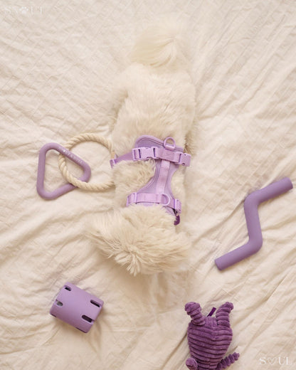 Play Set 