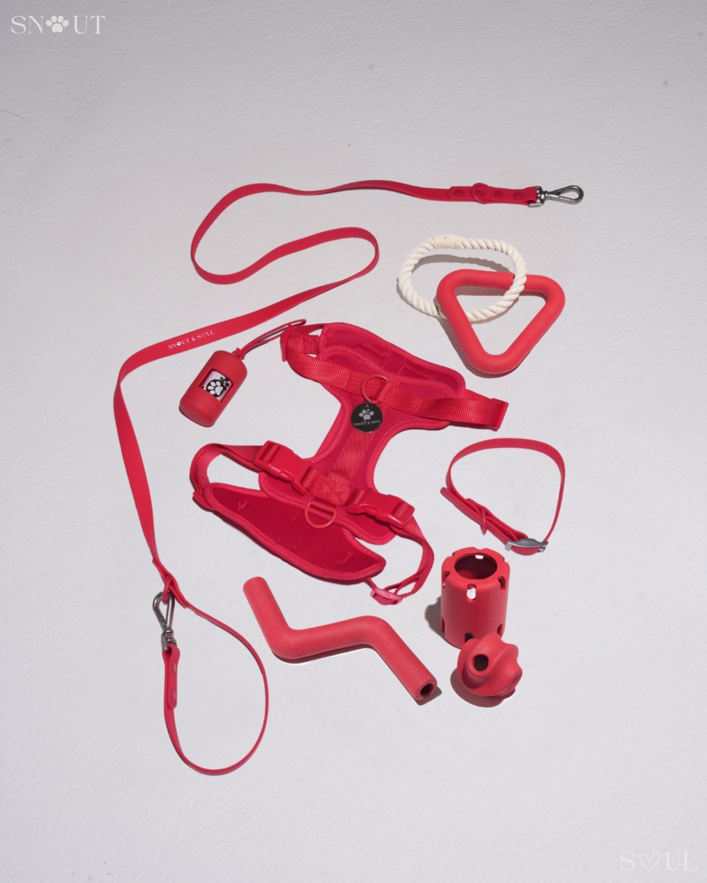Harnas Walk & Play Set
