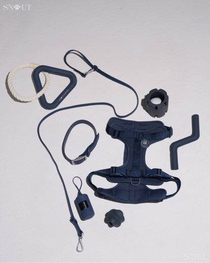 Harnas Walk & Play Set
