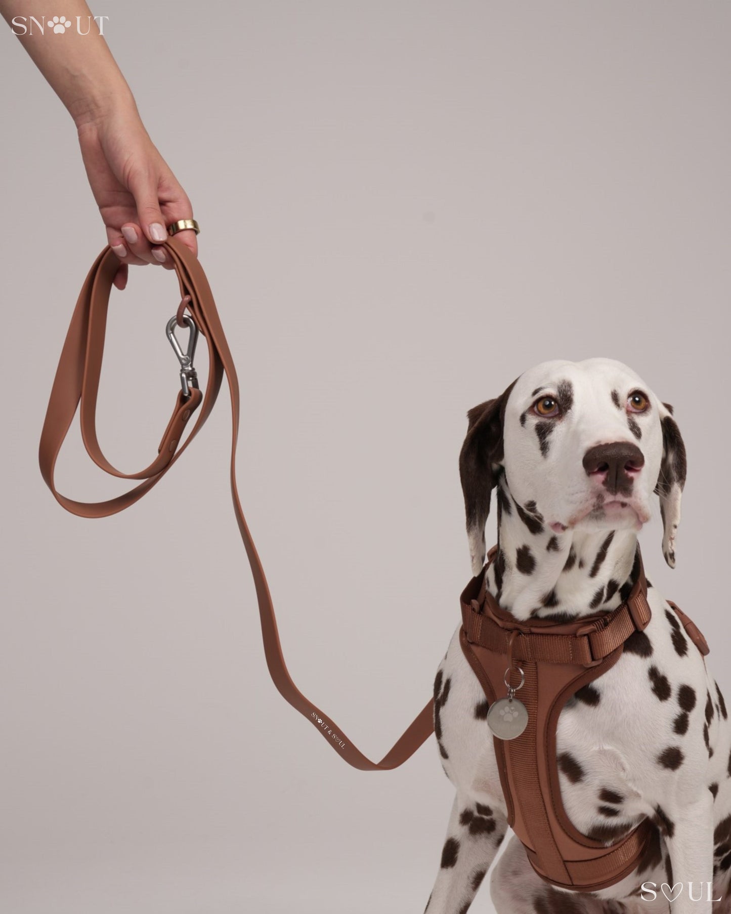 Halsband Walk Set