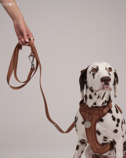 Halsband Walk Set