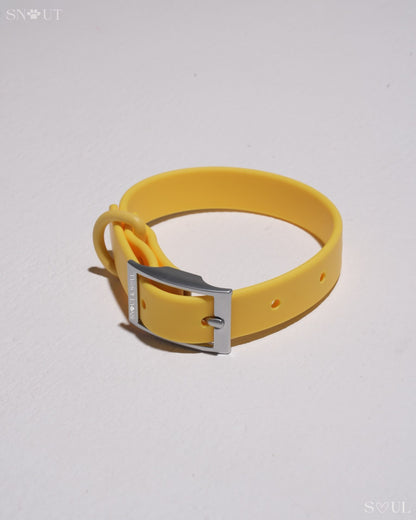 Halsband