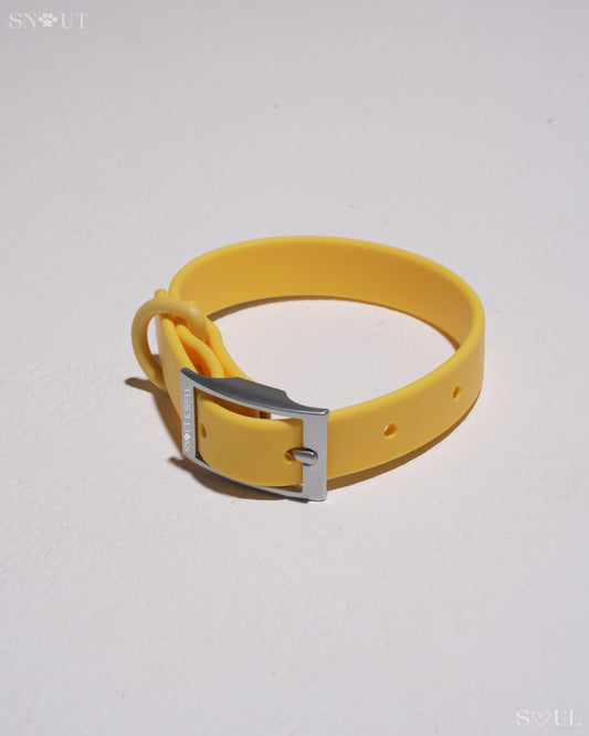 Halsband