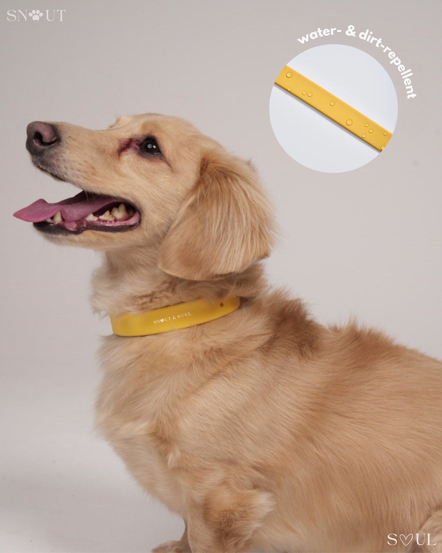 Halsband