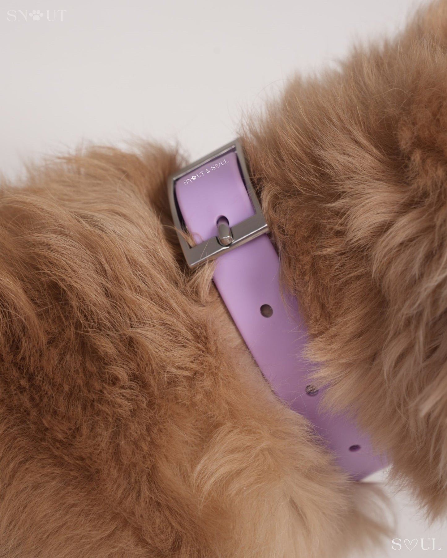 Halsband