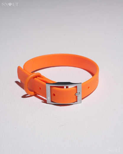 Halsband