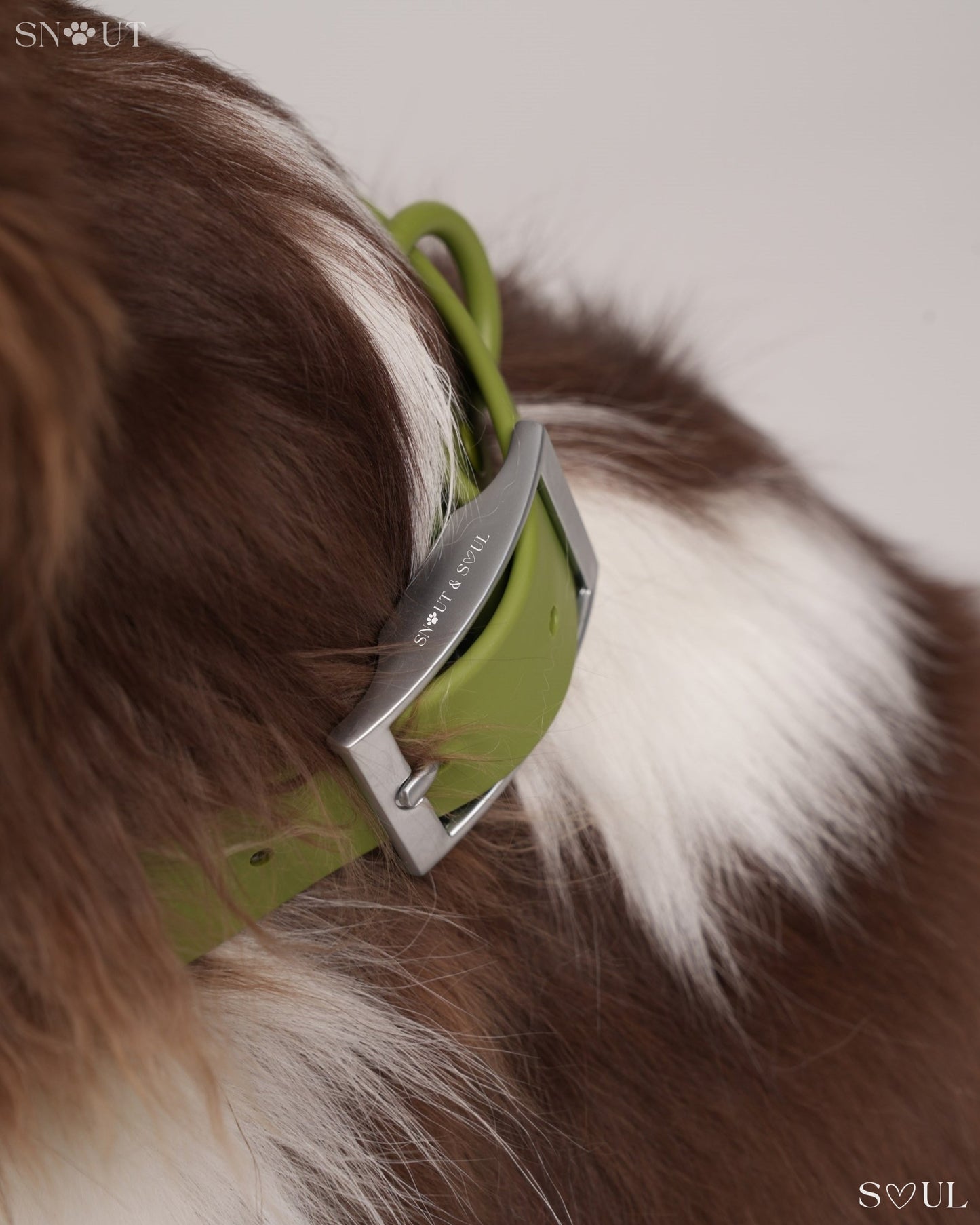 Halsband