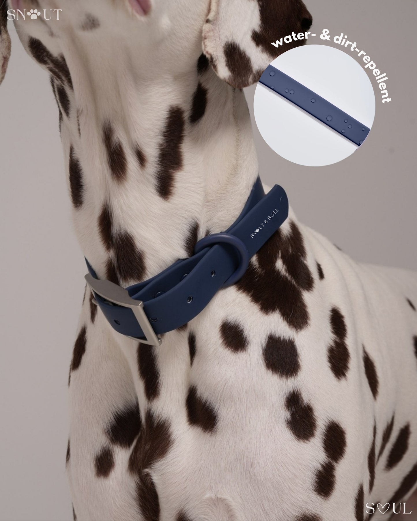 Halsband